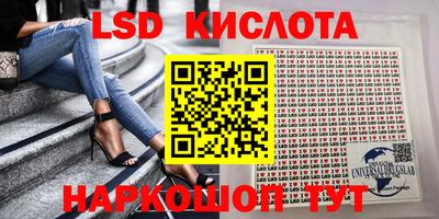 крисы Гатчина