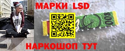 крисы Гатчина