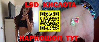 крисы Гатчина