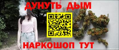 spice Гагарин