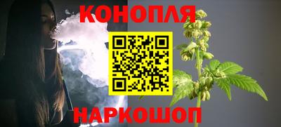 крисы Гатчина