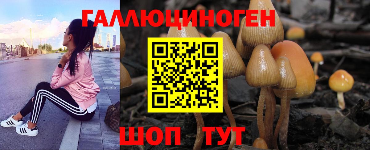 Киреевск  Псилоцибиновые грибы ЛСД  Вход с VPN 