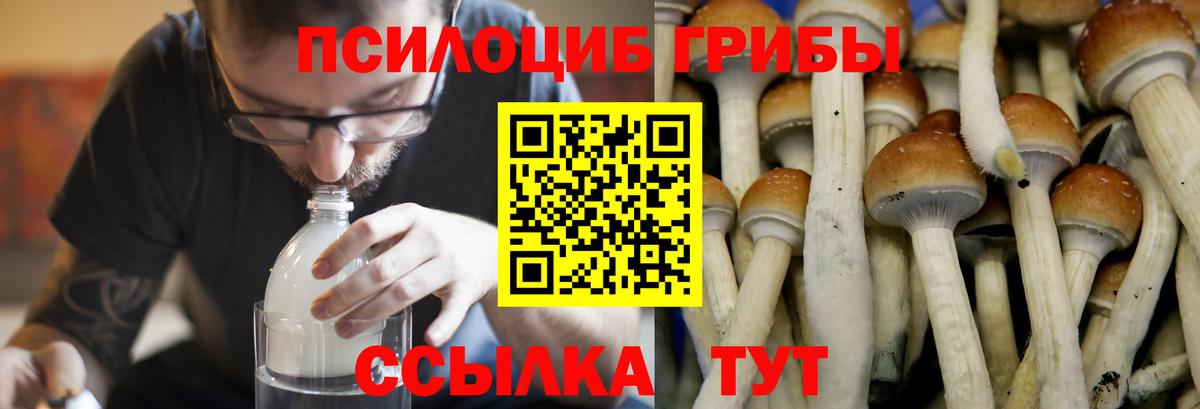 Галлюциногенные грибы GOLDEN TEACHER Киреевск